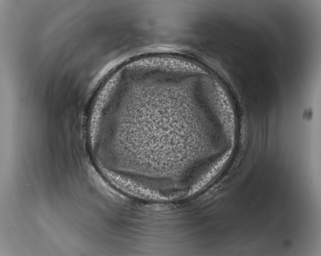 X0000115371404200911241229