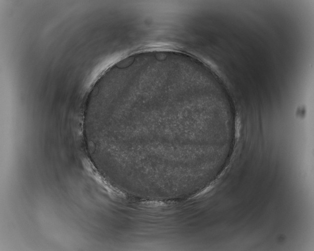 X0000115371405200911241229