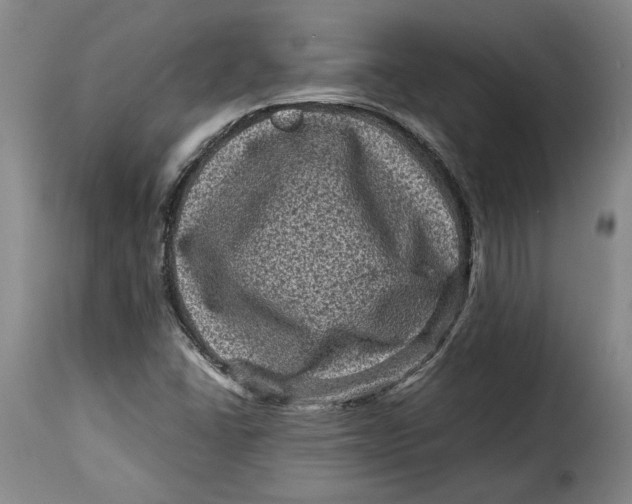 X0000115371406200911241229