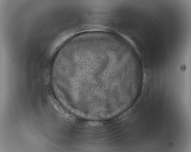 X0000115371407200911241229