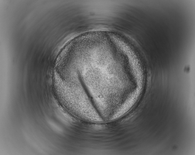 X0000115371409200911241229