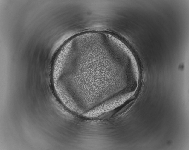 X0000115371410200911241230