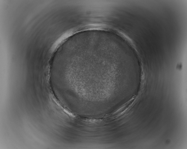 X0000115371411200911241230