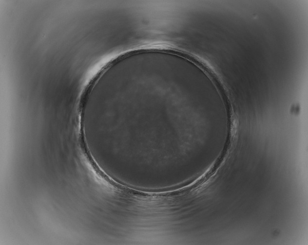 X0000115371414200911241230