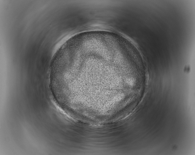 X0000115371415200911241230