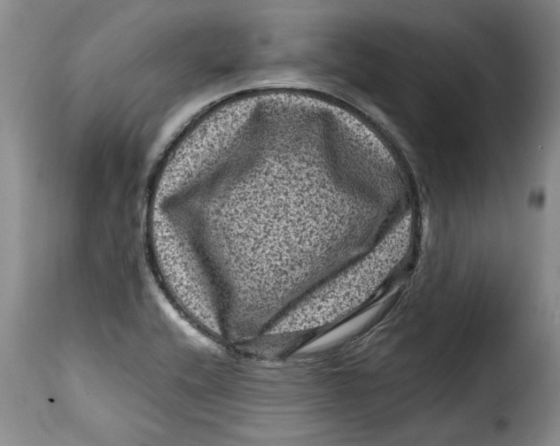 X0000115371416200911241230