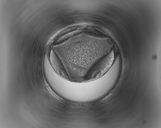 X0000115371417200911241230