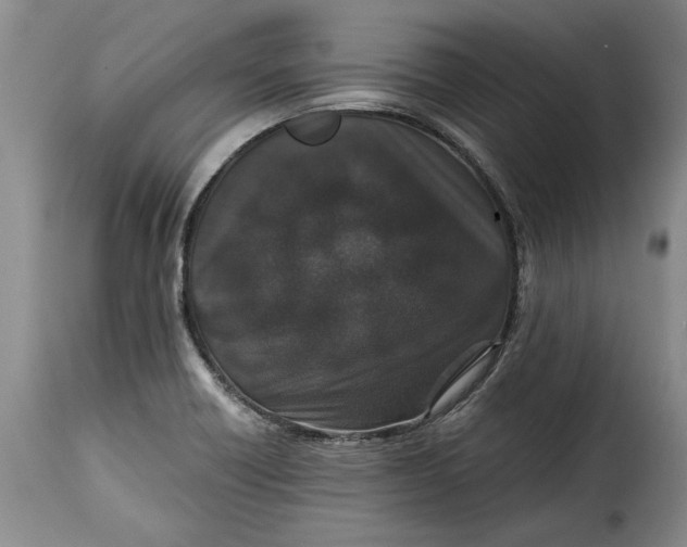 X0000115371418200911241230