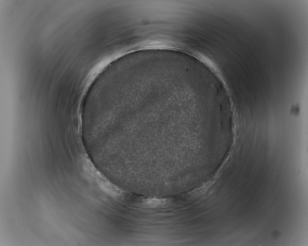 X0000115371419200911241230