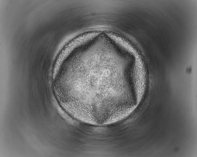 X0000115371421200911241230