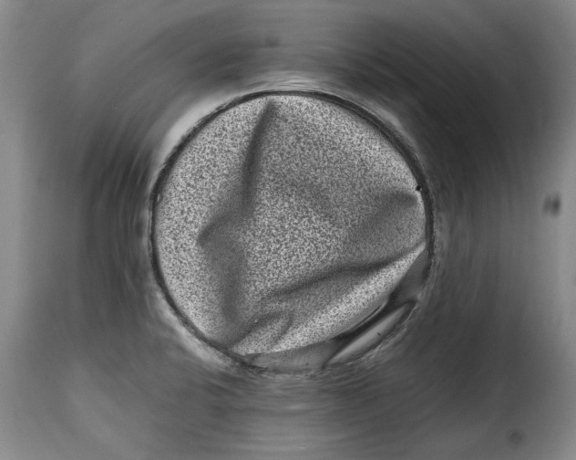 X0000115371424200911241230