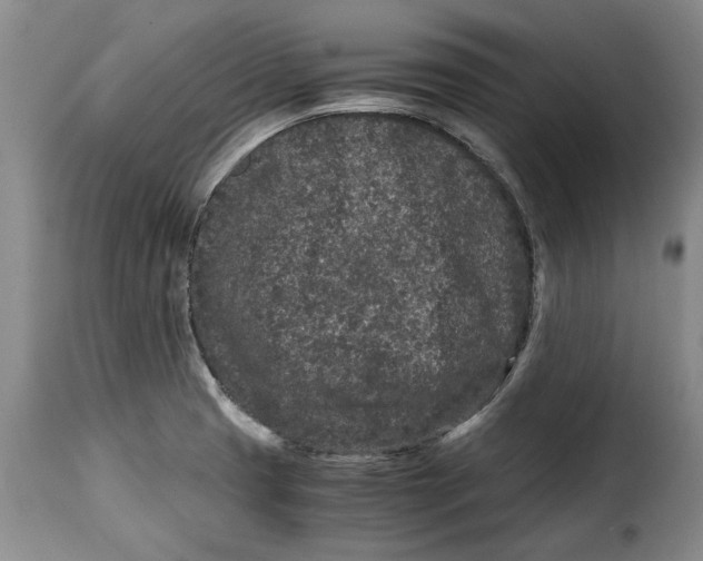 X0000115371425200911241230