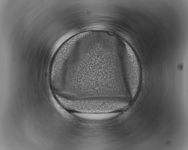 X0000115371426200911241230
