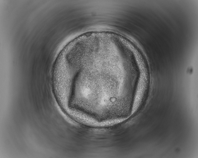 X0000115371429200911241230