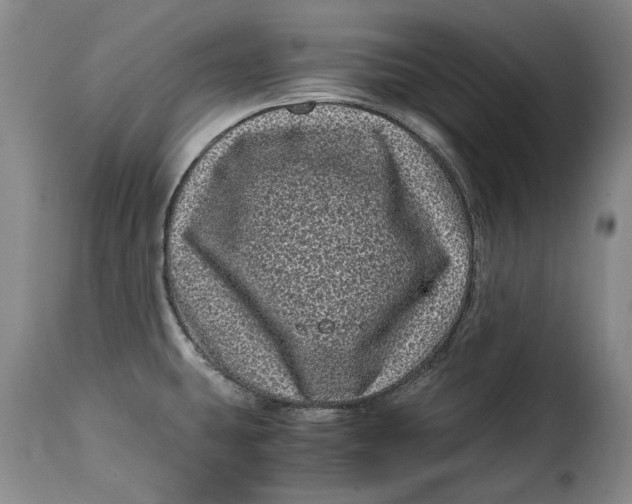 X0000115371431200911241230