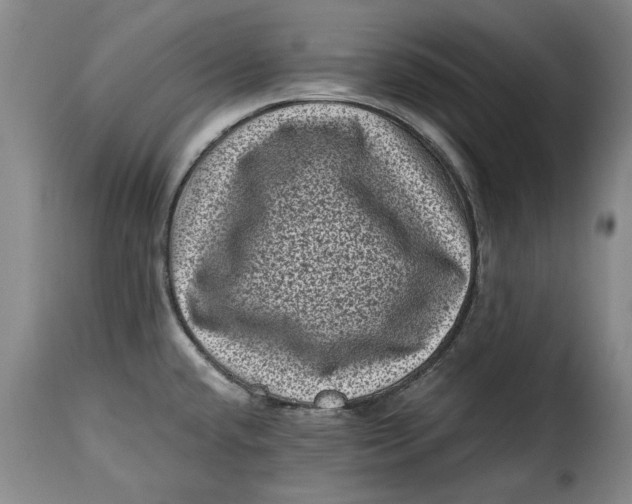 X0000115371432200911241230