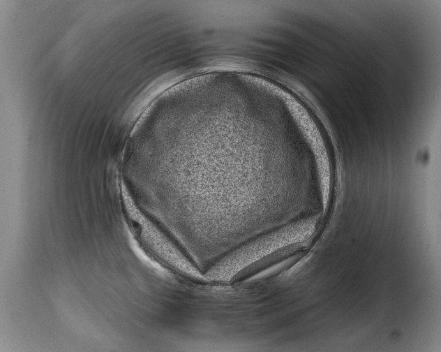 X0000115371433200911241230