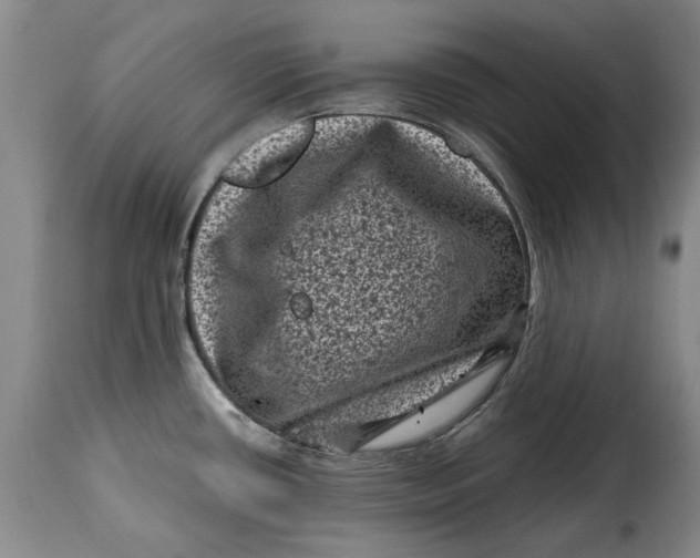 X0000115371434200911241230