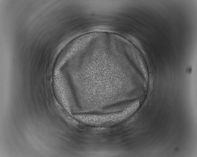 X0000115371435200911241230