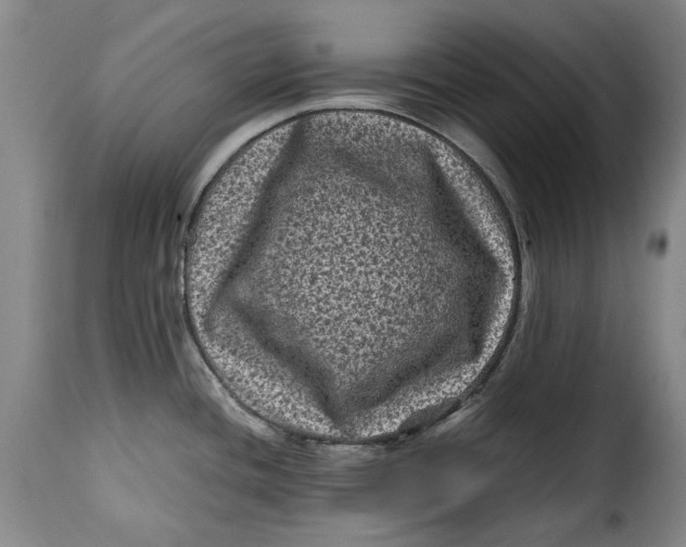 X0000115371436200911241230