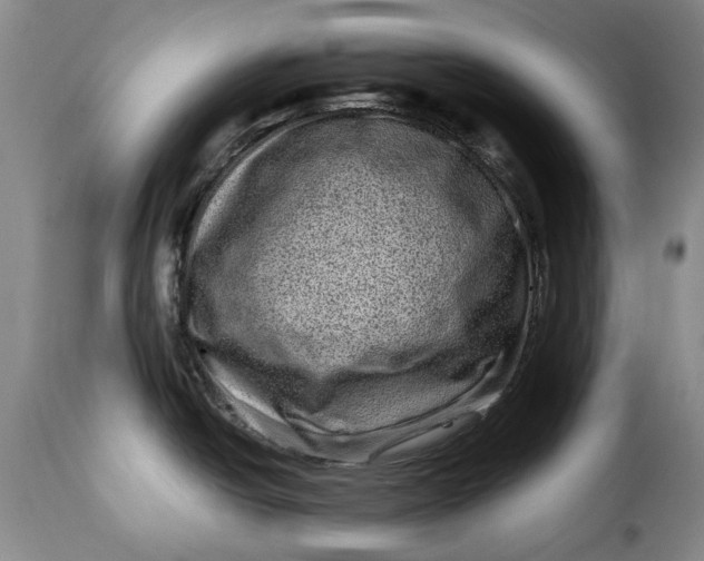 X0000115371438200911241230