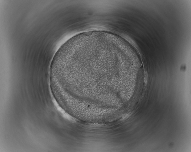 X0000115371439200911241230