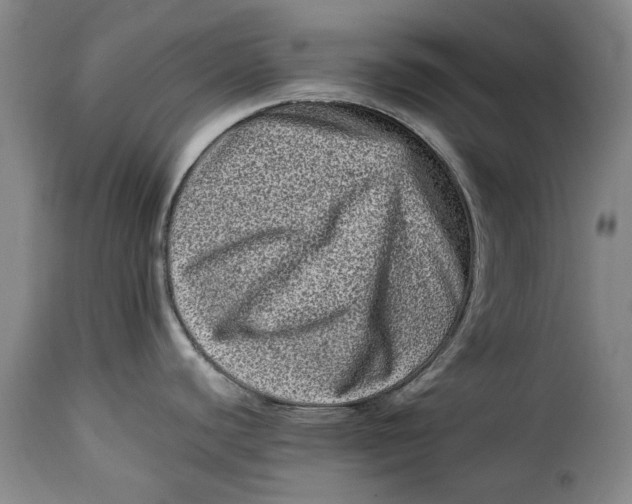 X0000115371440200911241230