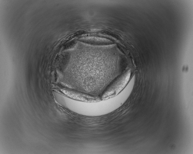 X0000115371441200911241229