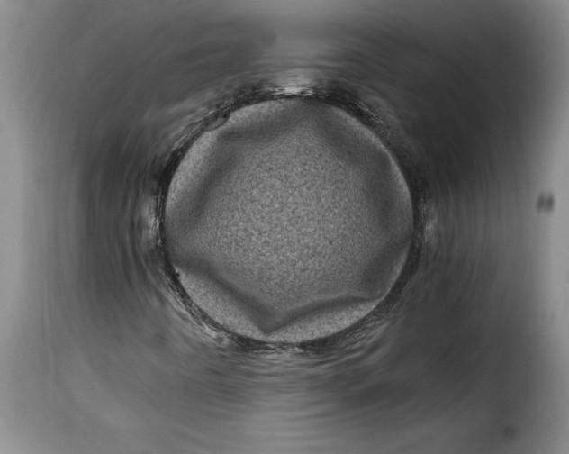X0000115371442200911241229