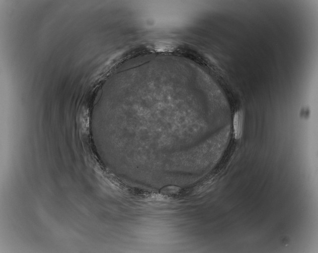 X0000115371443200911241229