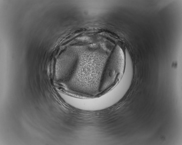 X0000115371444200911241229