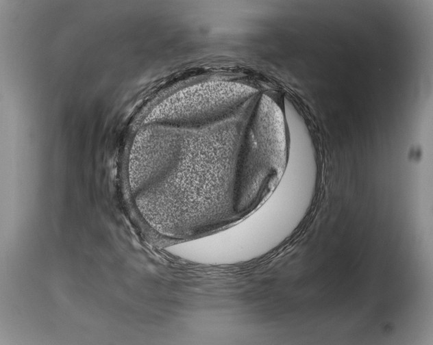 X0000115371445200911241229