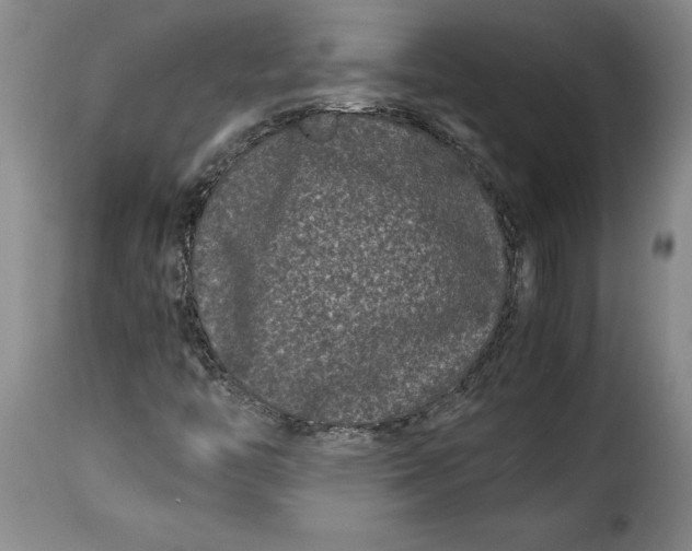 X0000115371446200911241229