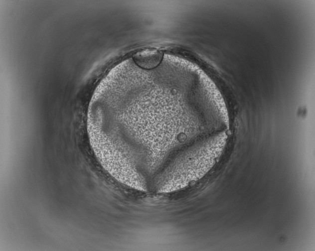 X0000115371447200911241229
