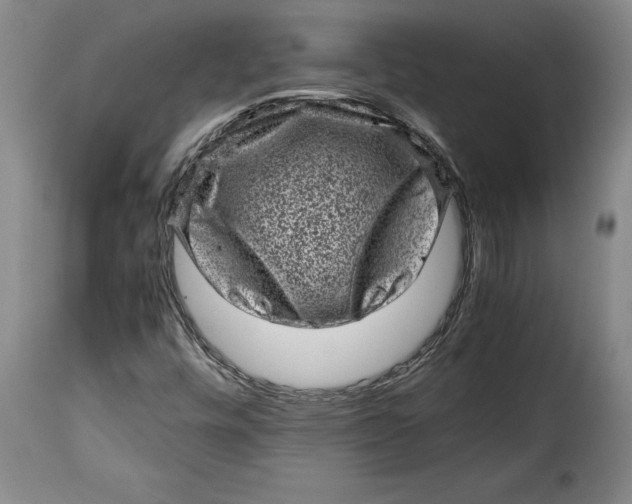 X0000115371448200911241229