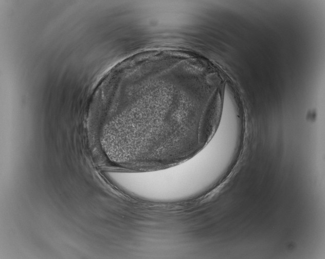 X0000115371449200911241229