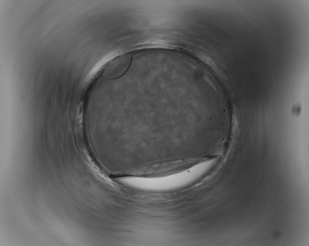 X0000115371450200911241229