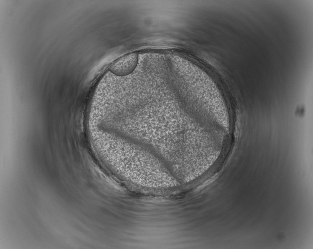 X0000115371451200911241229