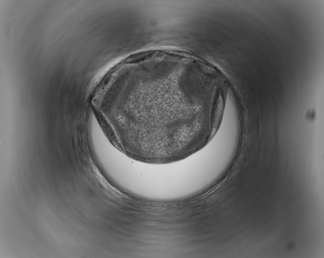 X0000115371452200911241229