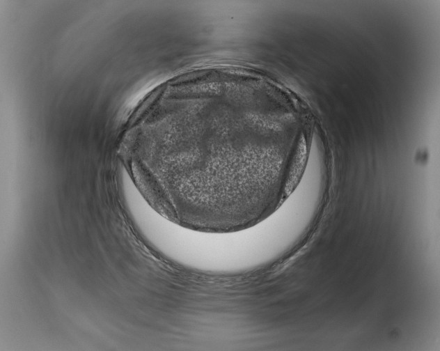 X0000115371453200911241229