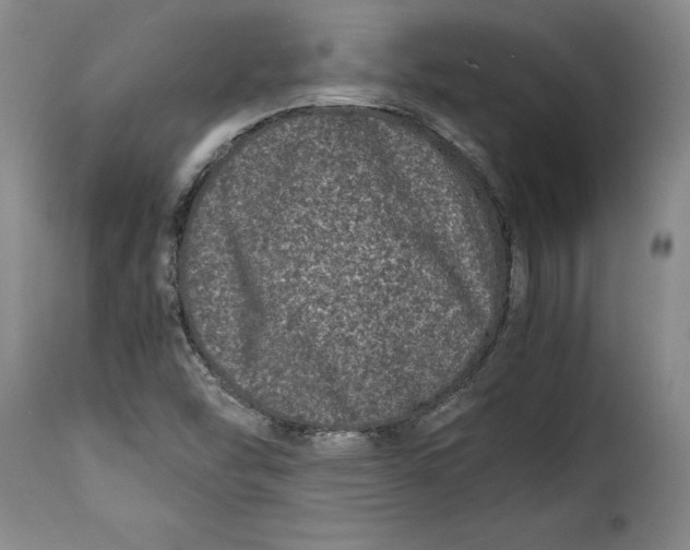 X0000115371454200911241229