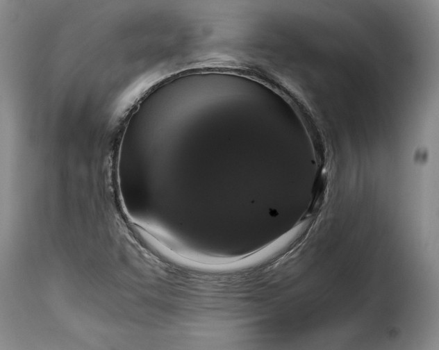 X0000115371455200911241229