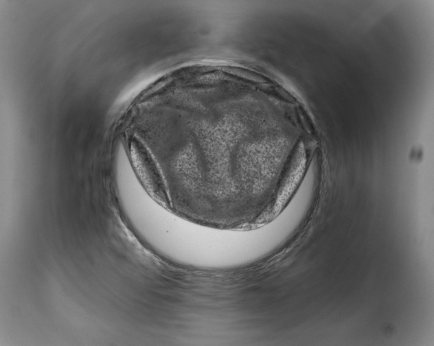 X0000115371456200911241229
