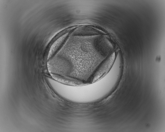 X0000115371457200911241229