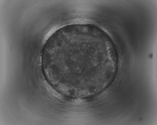 X0000115371459200911241229
