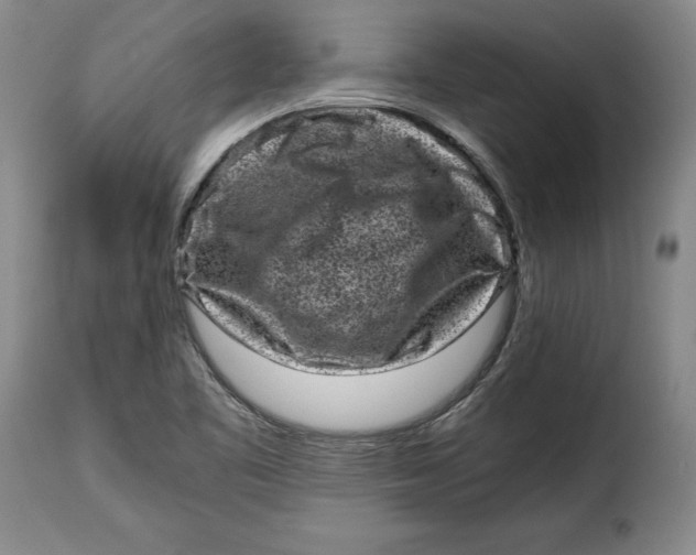 X0000115371461200911241229