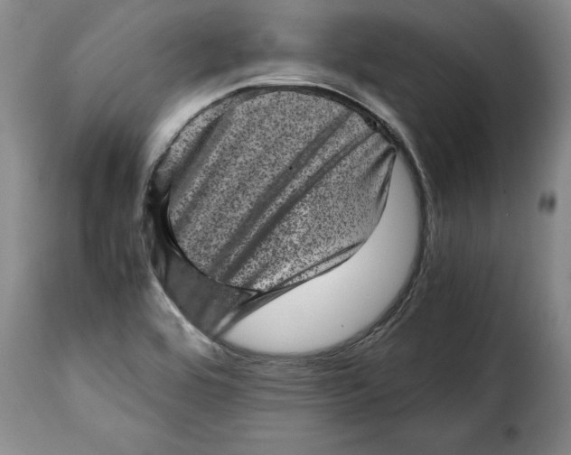 X0000115371464200911241229