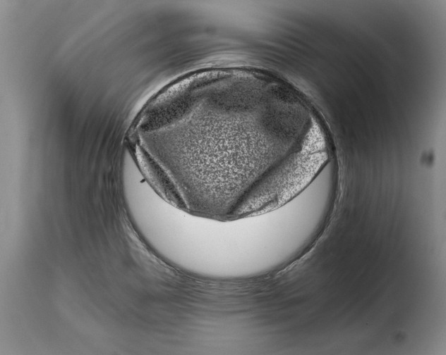 X0000115371465200911241229