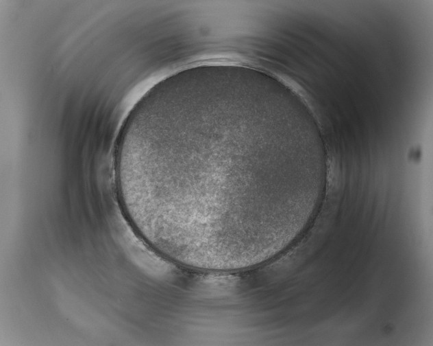 X0000115371466200911241229