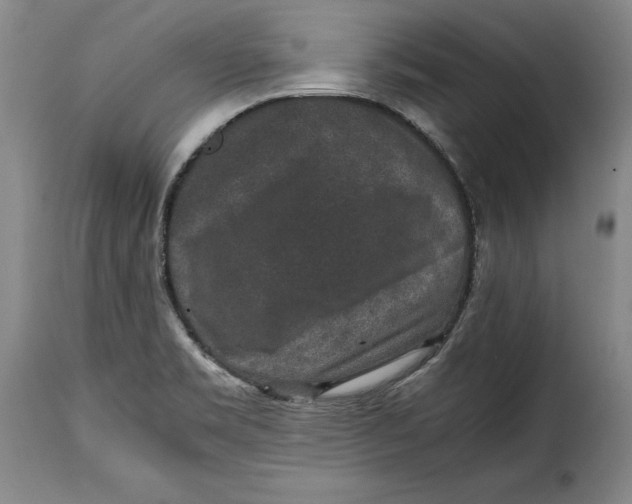 X0000115371469200911241229